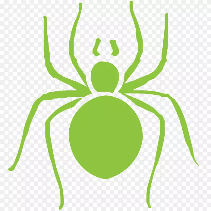 蟑螂灭虫剂-棕色隐翅蜘蛛
