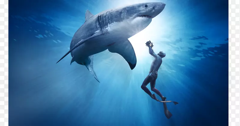 大白鲨纪录片“猎杀鲨鱼”