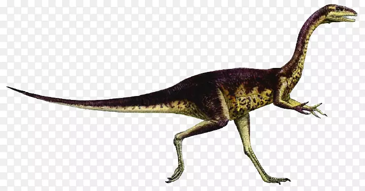食肉动物：恐龙猎手恐龙大小的棘龙-恐龙PNG