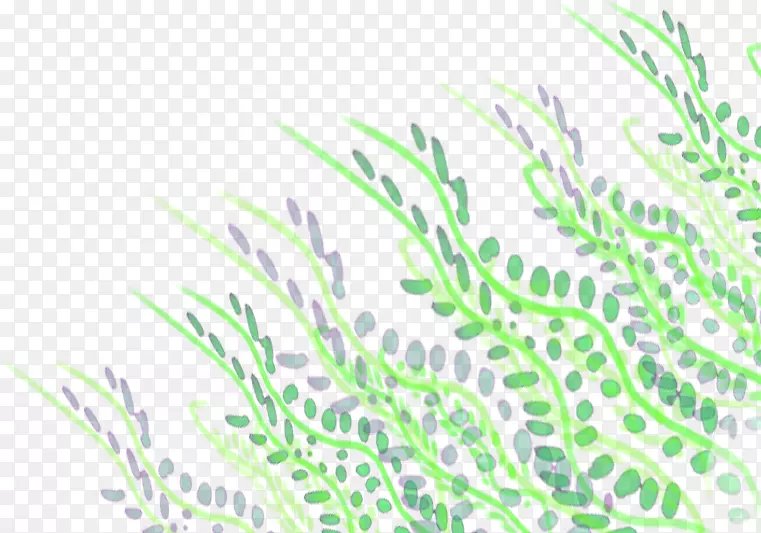 植物茎叶草动画电影