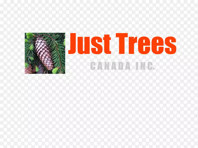 加拿大树木公司教育树