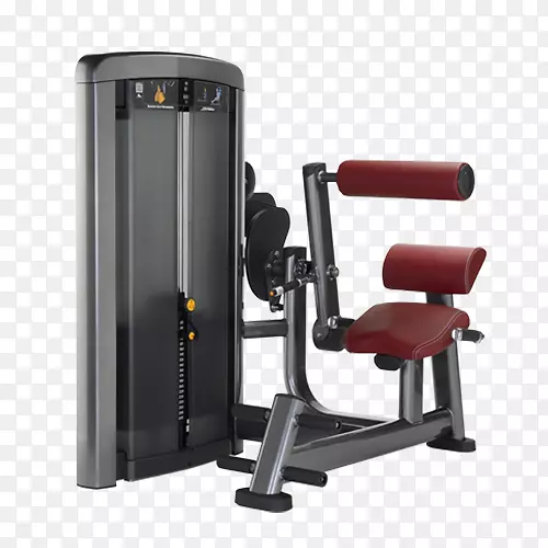 超级伸展运动器材终身健身罗马椅健身中心-哑铃