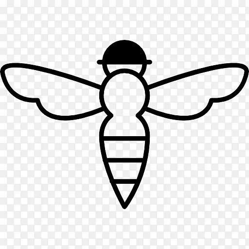 蜜蜂昆虫黄蜂毒
