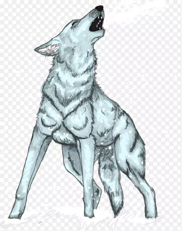 萨鲁士狼狗捷克斯洛伐克狼狗品种-嚎叫狼