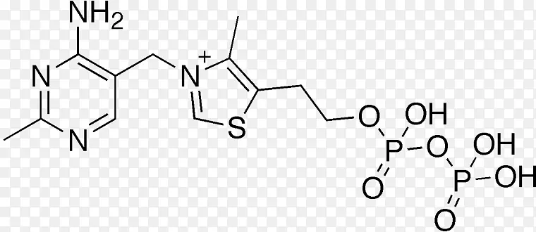 硫胺素焦磷酸维生素药物离子键合