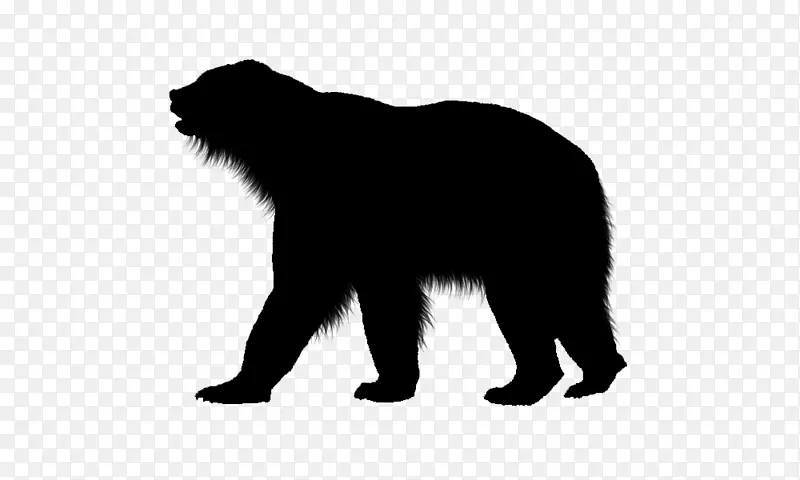 熊的轮廓白色野生动物陆地动物-熊