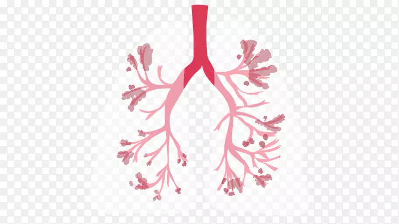 慢性阻塞性肺疾病支气管炎健康阻塞性肺疾病肠易激综合征慢性阻塞性肺疾病