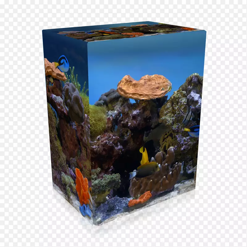 高效率视频编码数字视频蓝光盘4k分辨率珊瑚礁水族馆