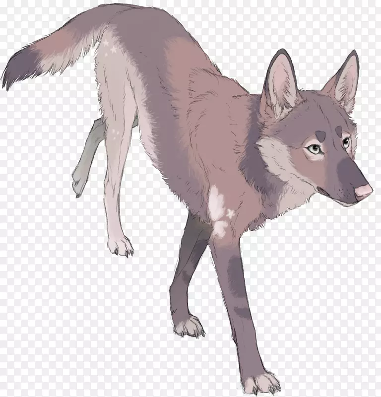 红狐灰狼恶狗艺术-雪橇狼狗