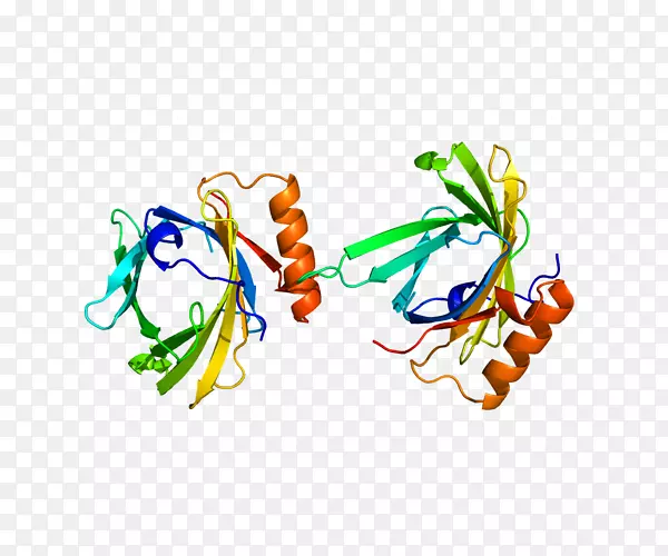 前列腺素D2合酶前列腺素d合酶前列腺素H2前列腺素D2