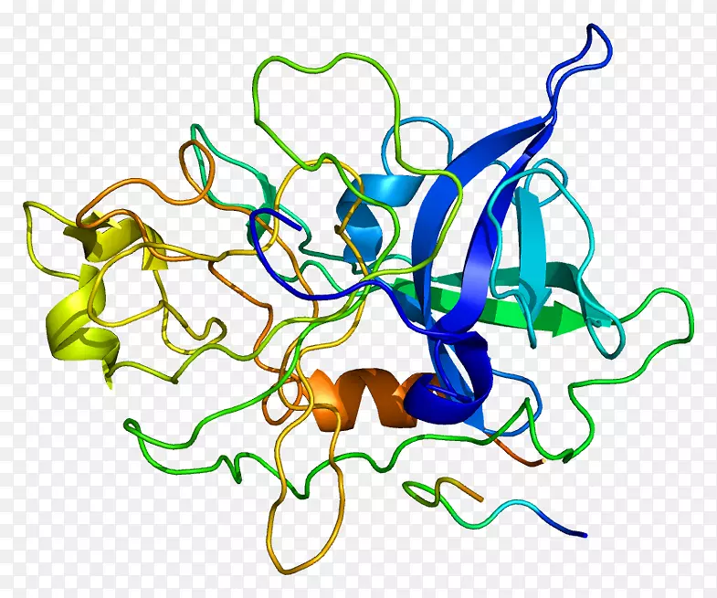 尿激酶组织纤溶酶原激活剂