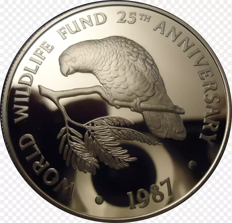 硬币套银硬币细度行走自由半美元