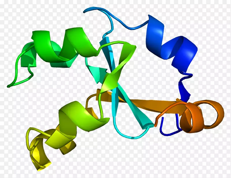 细胞色素b5还原酶细胞色素b5，a型高铁血红蛋白