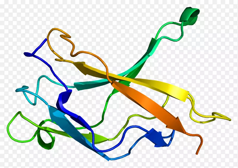 nfkb1 nf-κb hmga 2蛋白重链