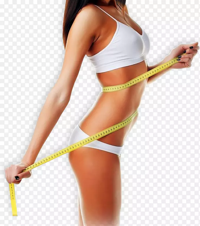 减肥组织腹部饮食脂肪健康