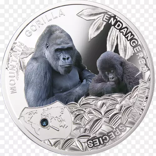 大猩猩硬币银币造币山地大猩猩