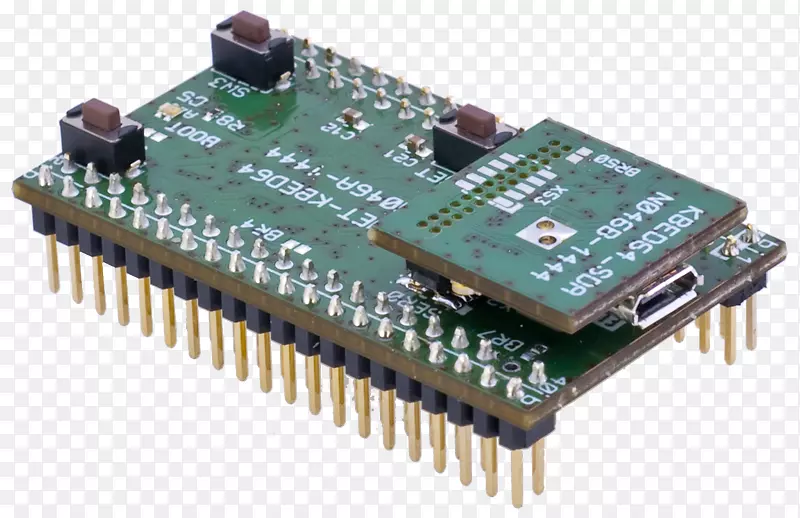 微控制器电子工程电视调谐器卡适配器晶体管电子学网络接口控制器