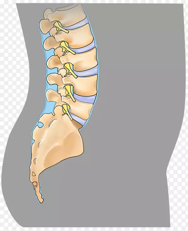 颈椎前路椎间盘切除融合术微创脊柱手术-梅菲尔德脊柱手术中心