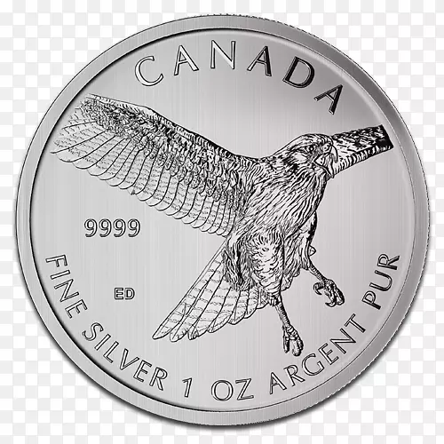 加拿大皇家造币银币-红尾鹰