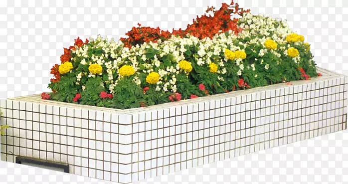 花卉设计花园园艺板.带状设计