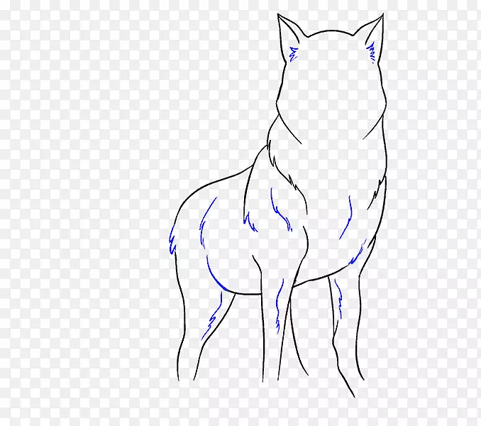 灰狼画线艺术素描