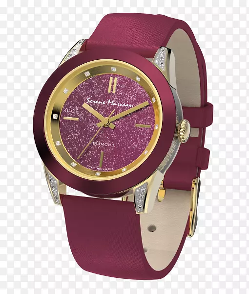 手表表带瑞士制皮革手表