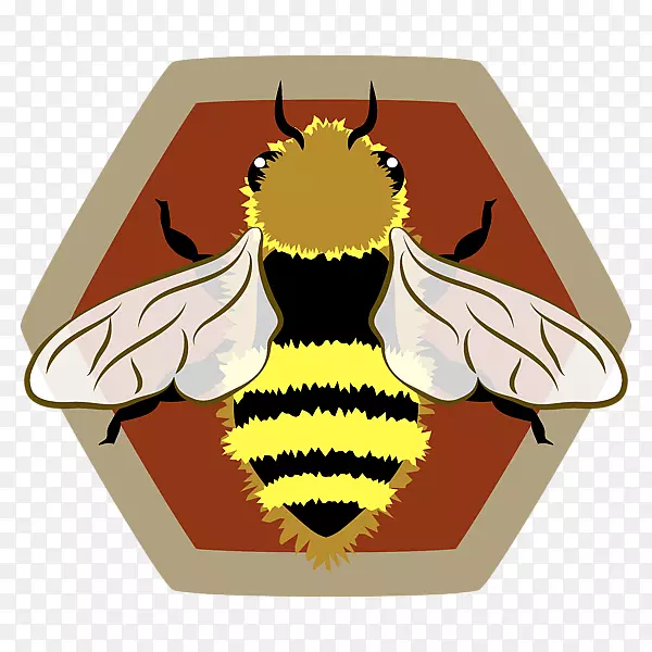 西方蜜蜂蜂巢非洲蜜蜂-西方蜜蜂