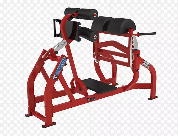 臀大肌力量训练-俯卧式锻炼器械