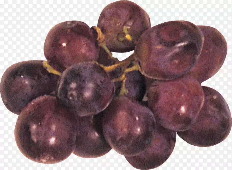 葡萄籽提取物，李子超级食品-葡萄