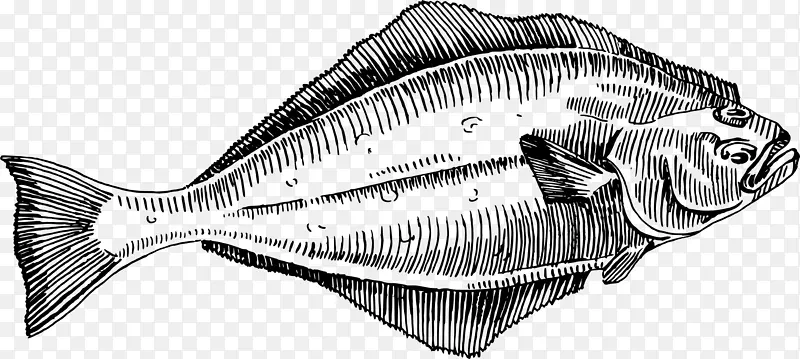 鱼比目鱼线艺术剪贴画-鱼
