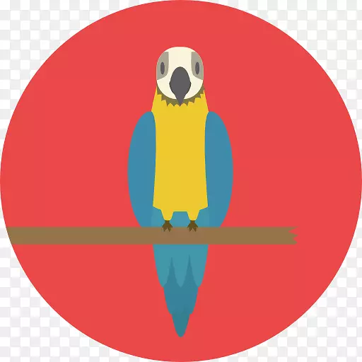 喙鹦鹉徽标字体-宠物鸟