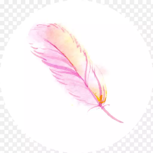 粉红m羽近身羽毛