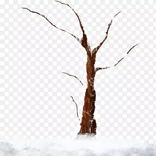 树枝雪片艺术树