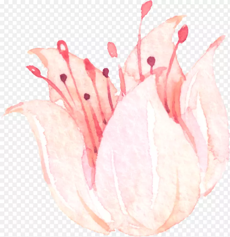 粉红剪贴画-花