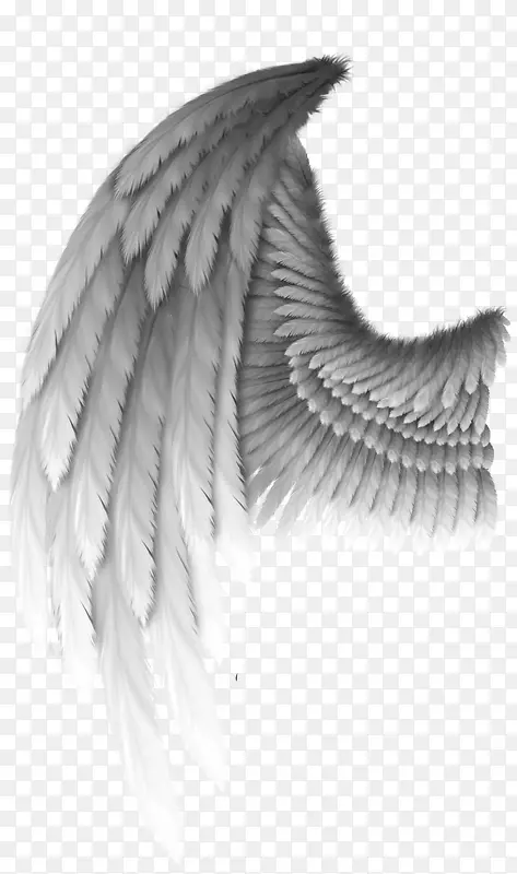 天使剪贴画-天使