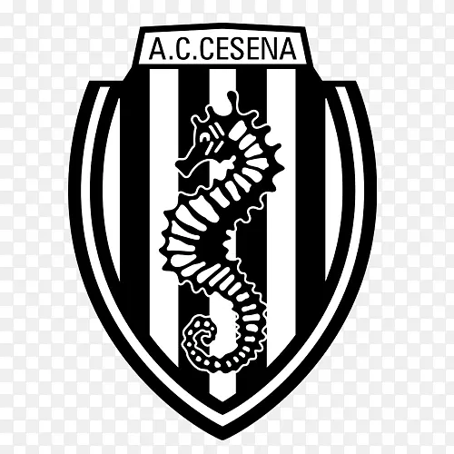 A.C.切塞纳意甲博洛尼亚F.C.1909年EFL联赛一-萨索洛