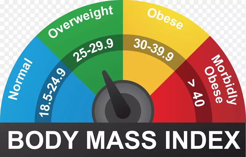 体重指数、人体体重、脂肪、组织、摄影、体重和身高百分位数