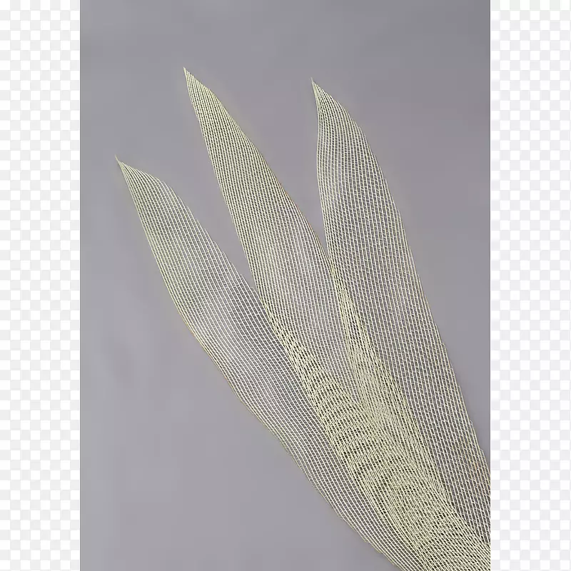 羽毛材料-羽毛