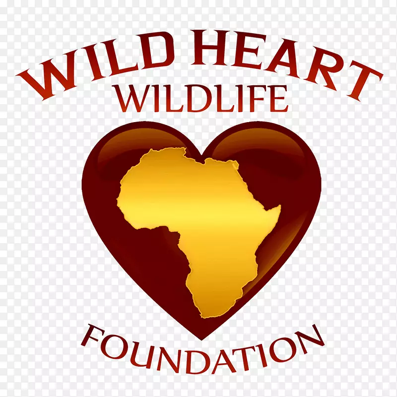 非营利性组织非洲野生动物基金会荒野基金会