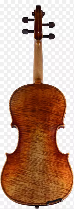 小提琴，斯特拉迪瓦勒斯，琵琶，乐器，音乐家.五弦小提琴