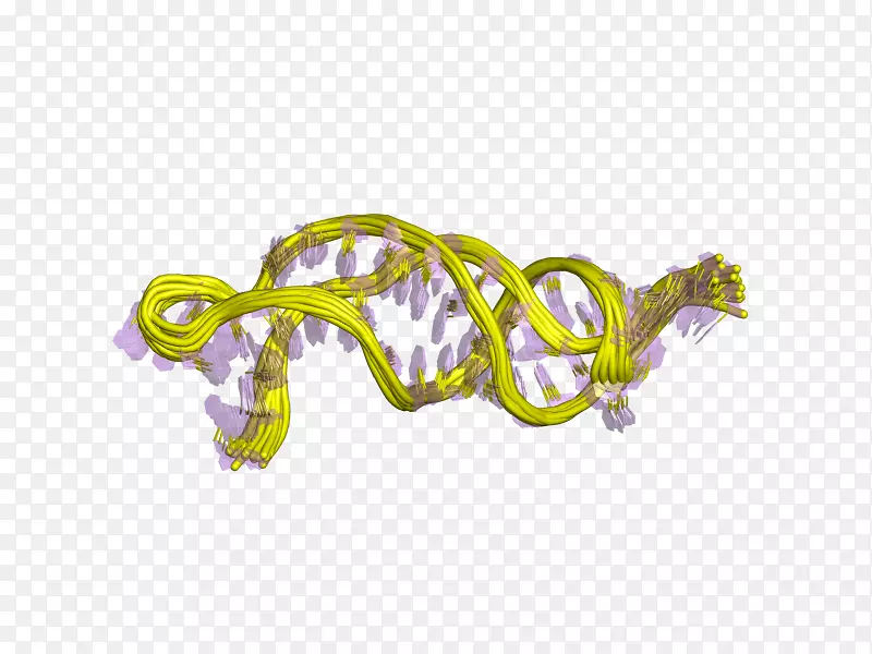 端粒酶RNA组分非编码RNA端粒-欧洲生物信息学研究所