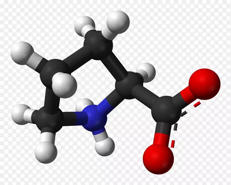 羟脯氨酸氨基酸两性离子结构