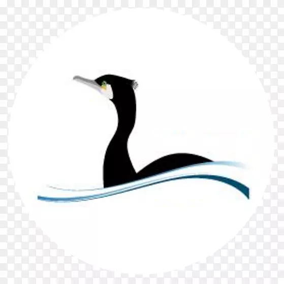 企鹅ijsselmeervereniging水鸟-企鹅