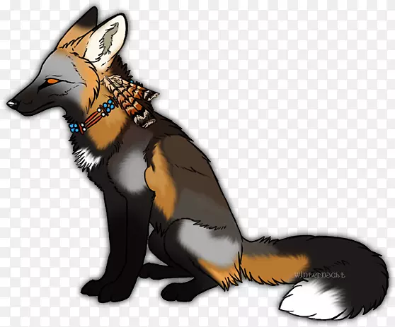 红狐银狐交叉狐犬品种-狐狸