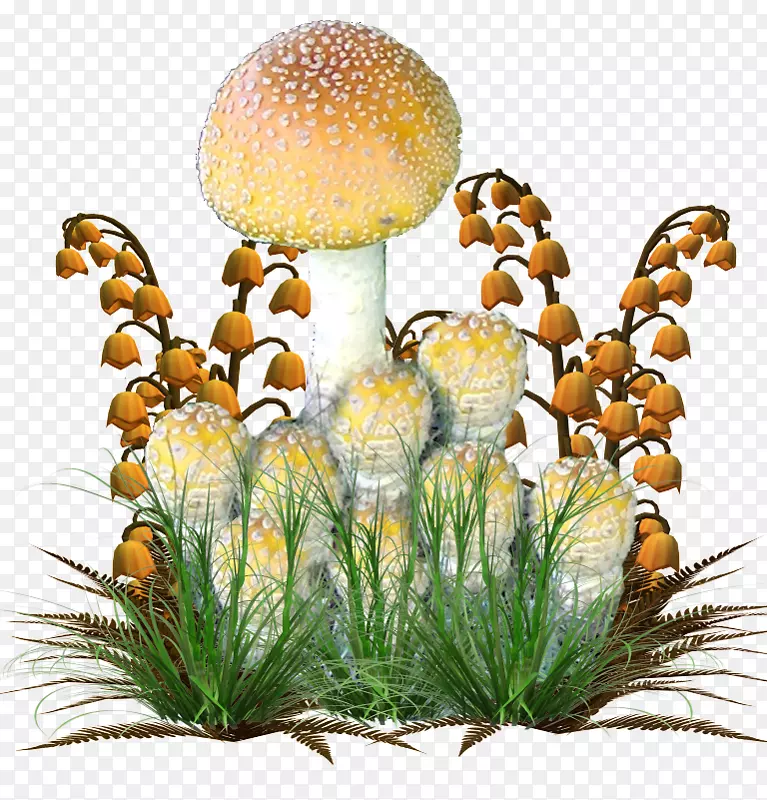 蘑菇叶