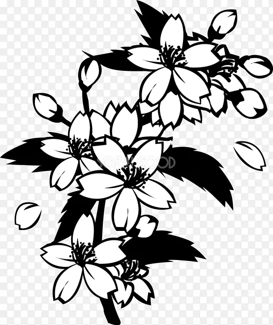 黑白单色彩绘樱花设计
