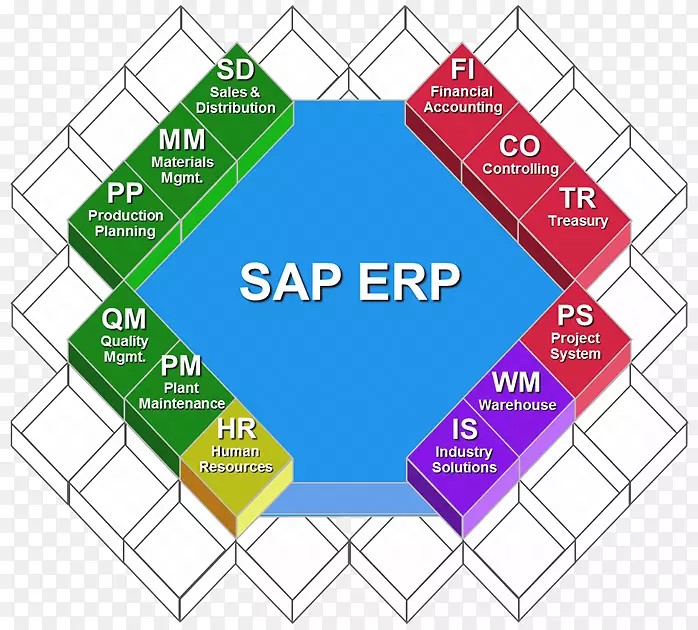 SAP erp企业资源规划sap se sap r/3模块-业务