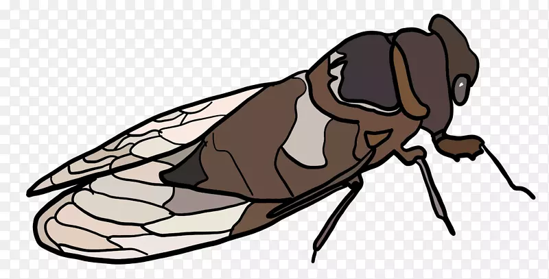 昆虫真虫线艺术卡通剪贴画昆虫