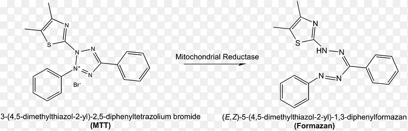 噻唑蓝法测定烟酰胺腺嘌呤二核苷酸磷酸四唑氯化铵qaytarilish