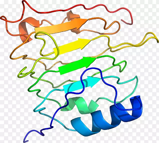 线点生物剪贴画线